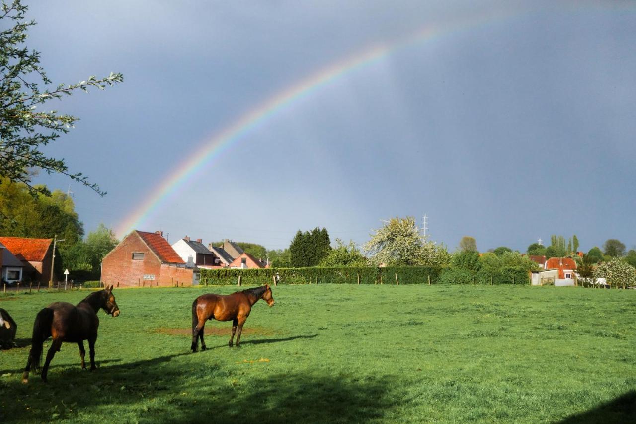 Gite Rural Les Petites Tetes Leuze-en-Hainaut Exterior foto